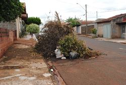 Selecione a Imagem 