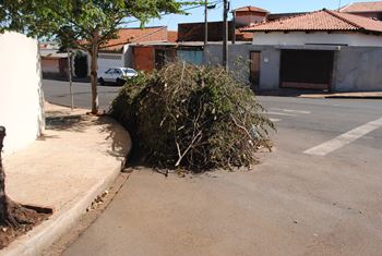 Selecione a Imagem 